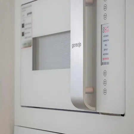 Apartment Penthouse Mak